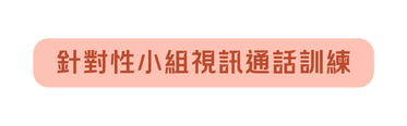 針對性小組視訊通話訓練